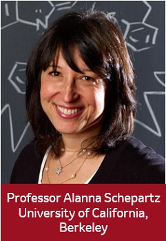 Profile photo of Schepartz for NOS 2023